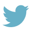 footer__icon